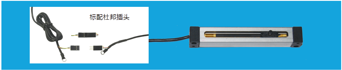 MIRANʿƼKSF΢ͻKʽλƂ