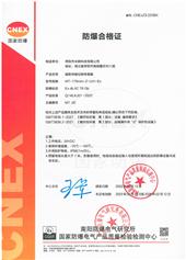 隔爆型磁致伸縮(位移/液位)傳感器IIC T6